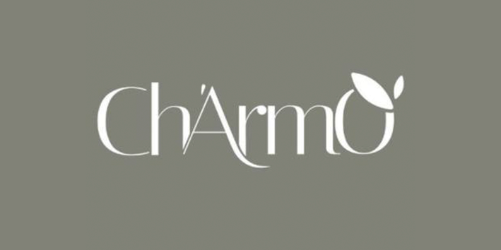 Terceirizao: Ch Misto Charmo